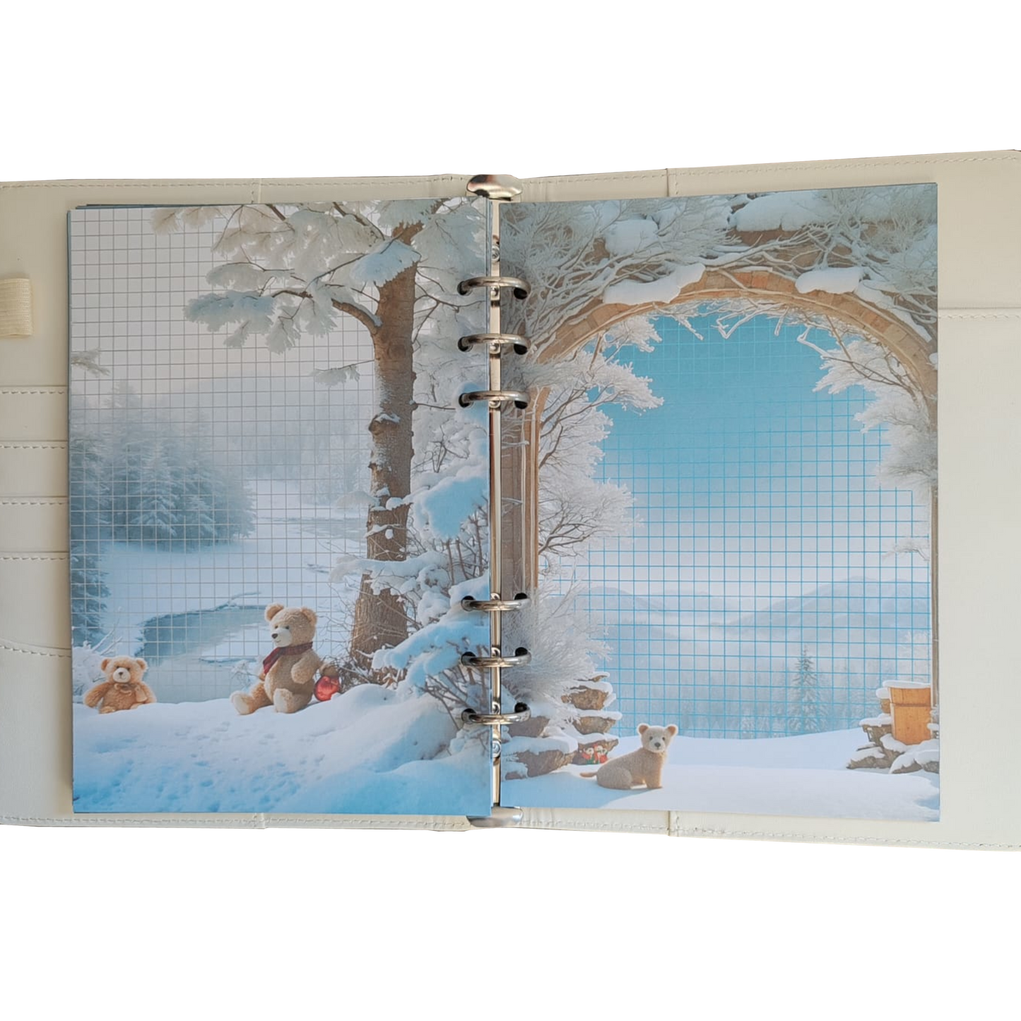 Teddy DIN A5 Komplett-Set - Ringbuch & Einlagen