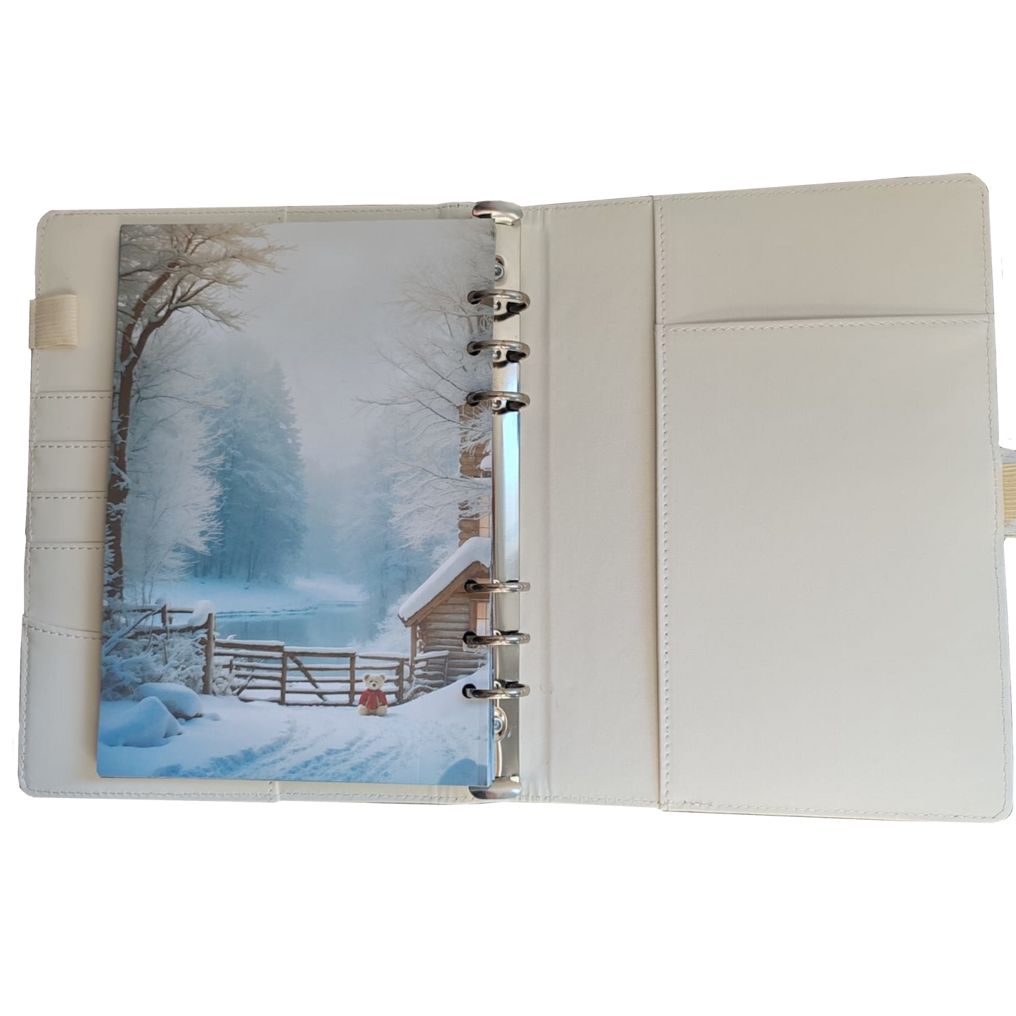 Teddy DIN A5 Komplett-Set - Ringbuch & Einlagen