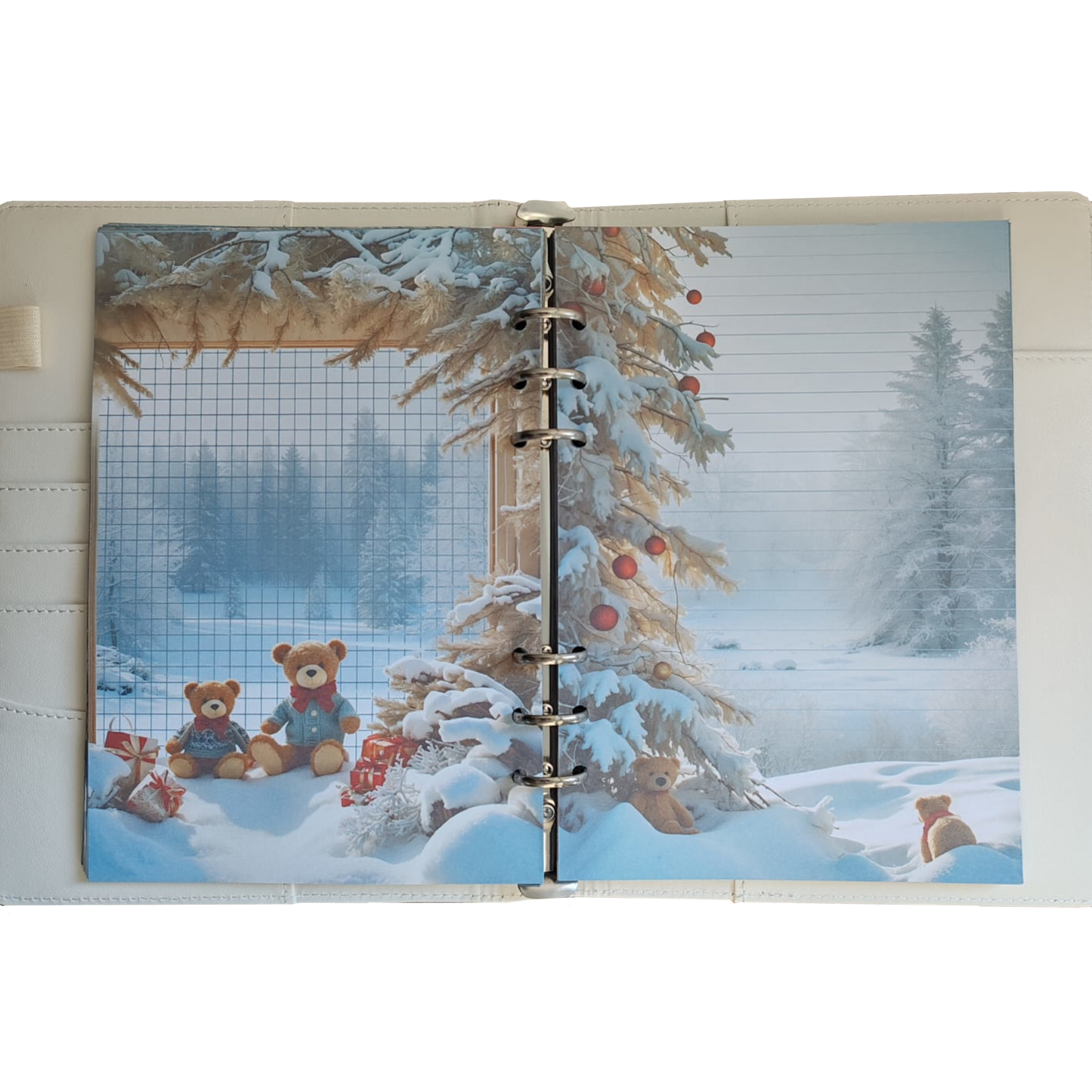 Teddy DIN A5 Komplett-Set - Ringbuch & Einlagen