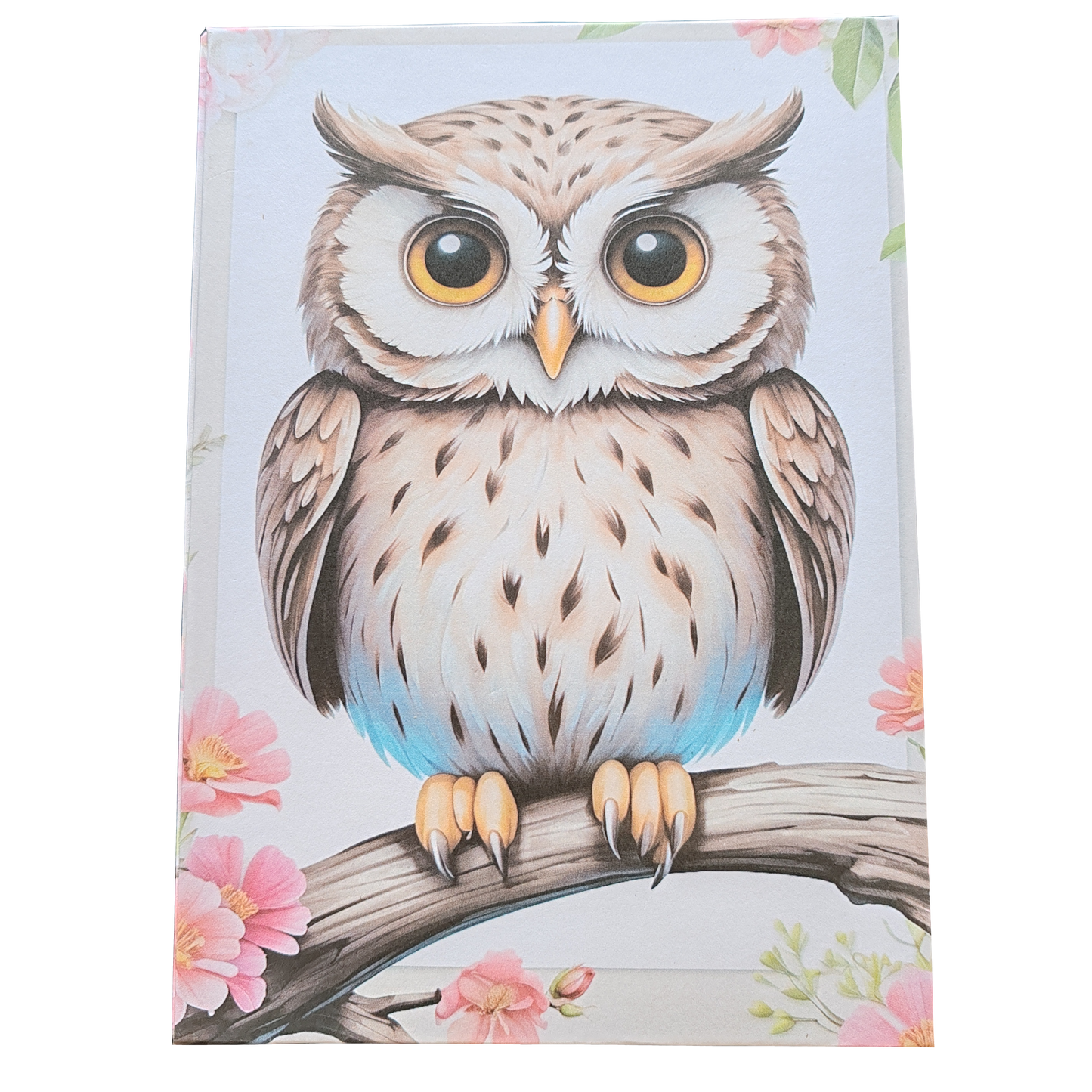 Illustriertes Notizbuch | Motiv Crazy Owls | DIN A5 Hardcover | 160 Seiten