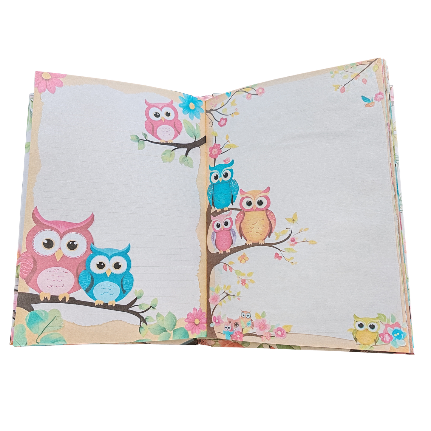 Illustriertes Notizbuch | Motiv Crazy Owls | DIN A5 Hardcover | 160 Seiten