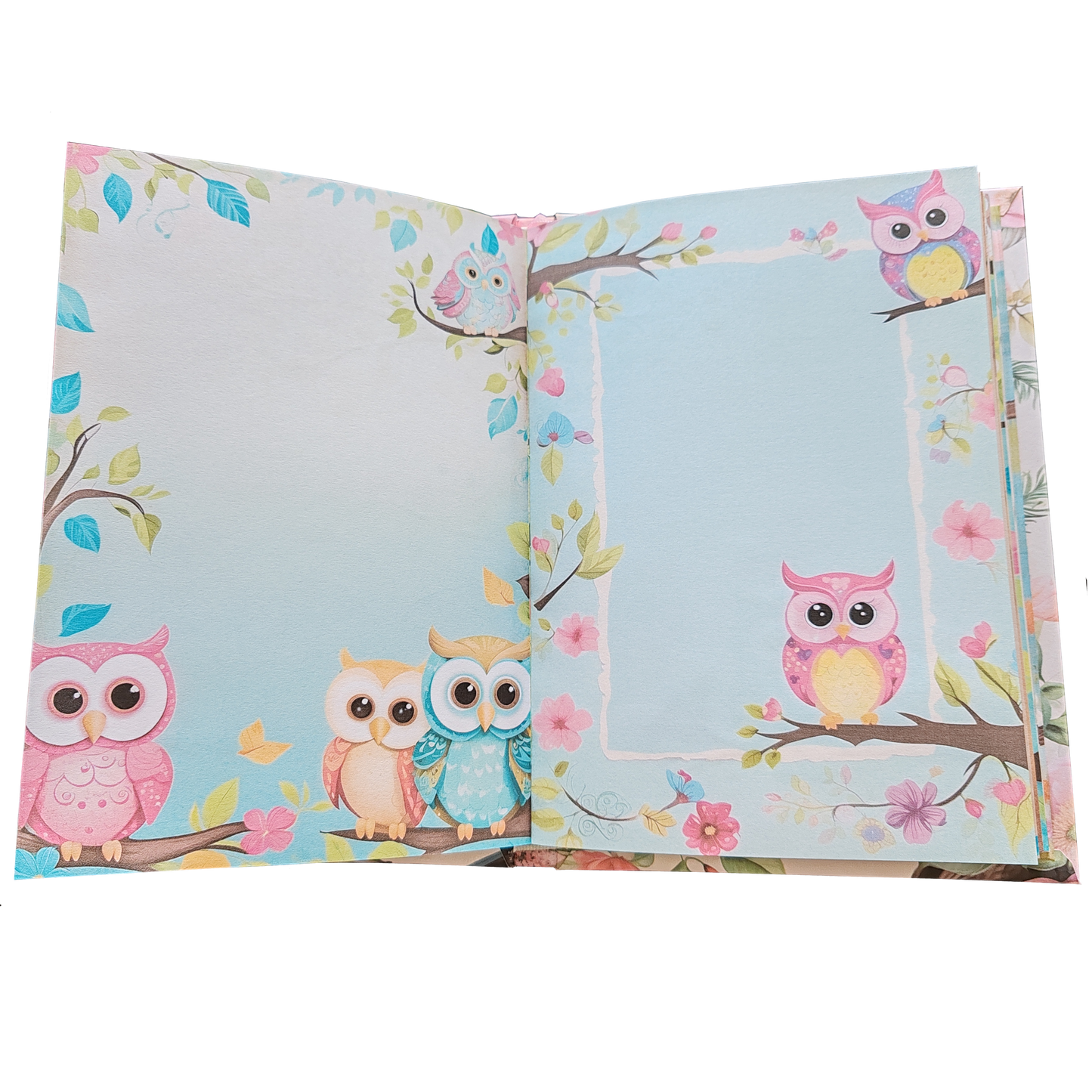 Illustriertes Notizbuch | Motiv Crazy Owls | DIN A5 Hardcover | 160 Seiten
