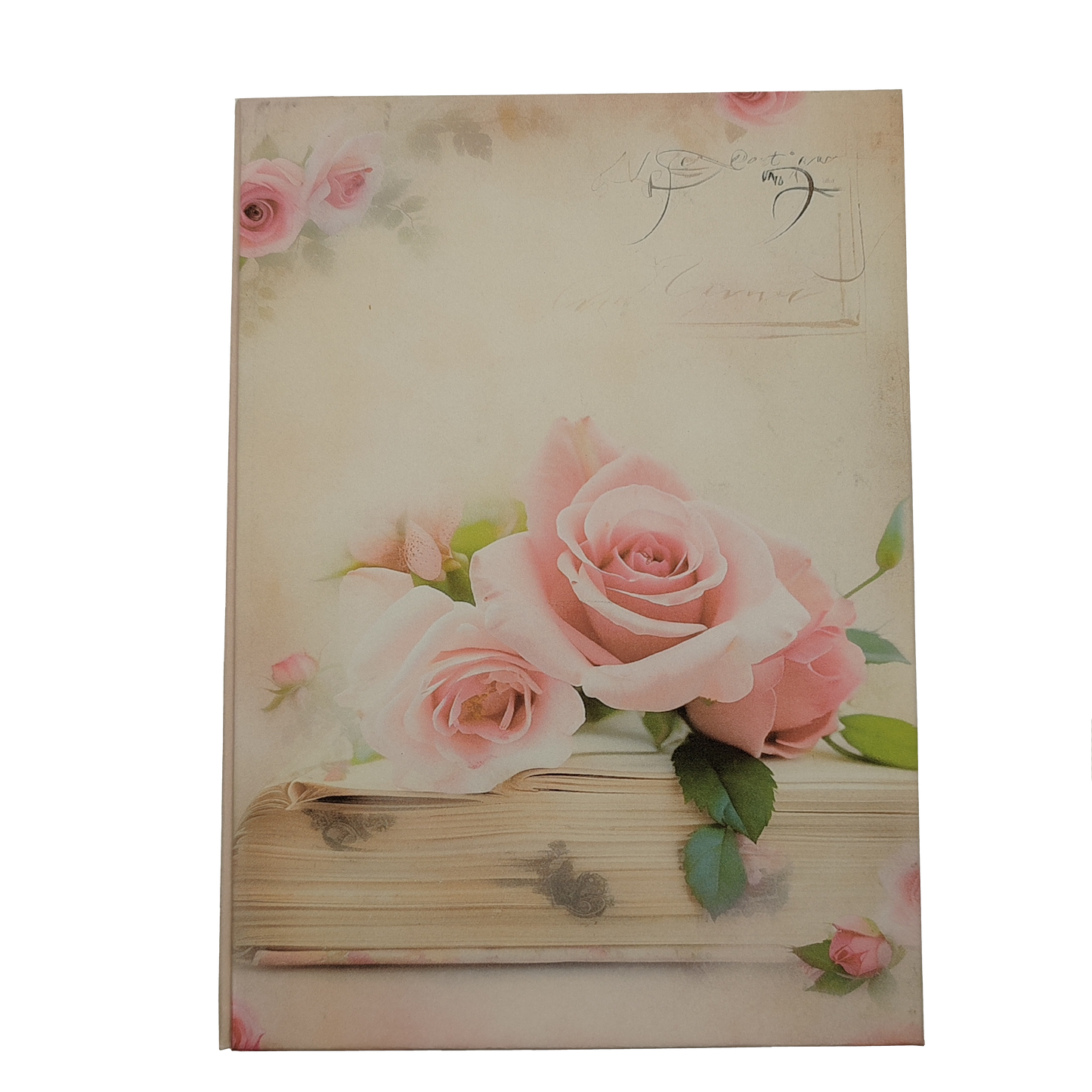 Illustriertes Notizbuch | Motiv Amor, amor | DIN A5 Hardcover | 160 Seiten