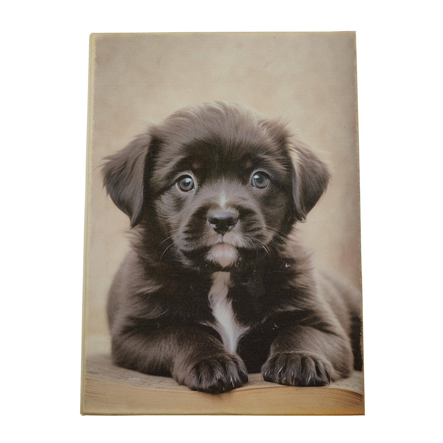 Illustriertes Notizbuch | Motiv Cute Puppies | DIN A5 Hardcover | 160 Seiten