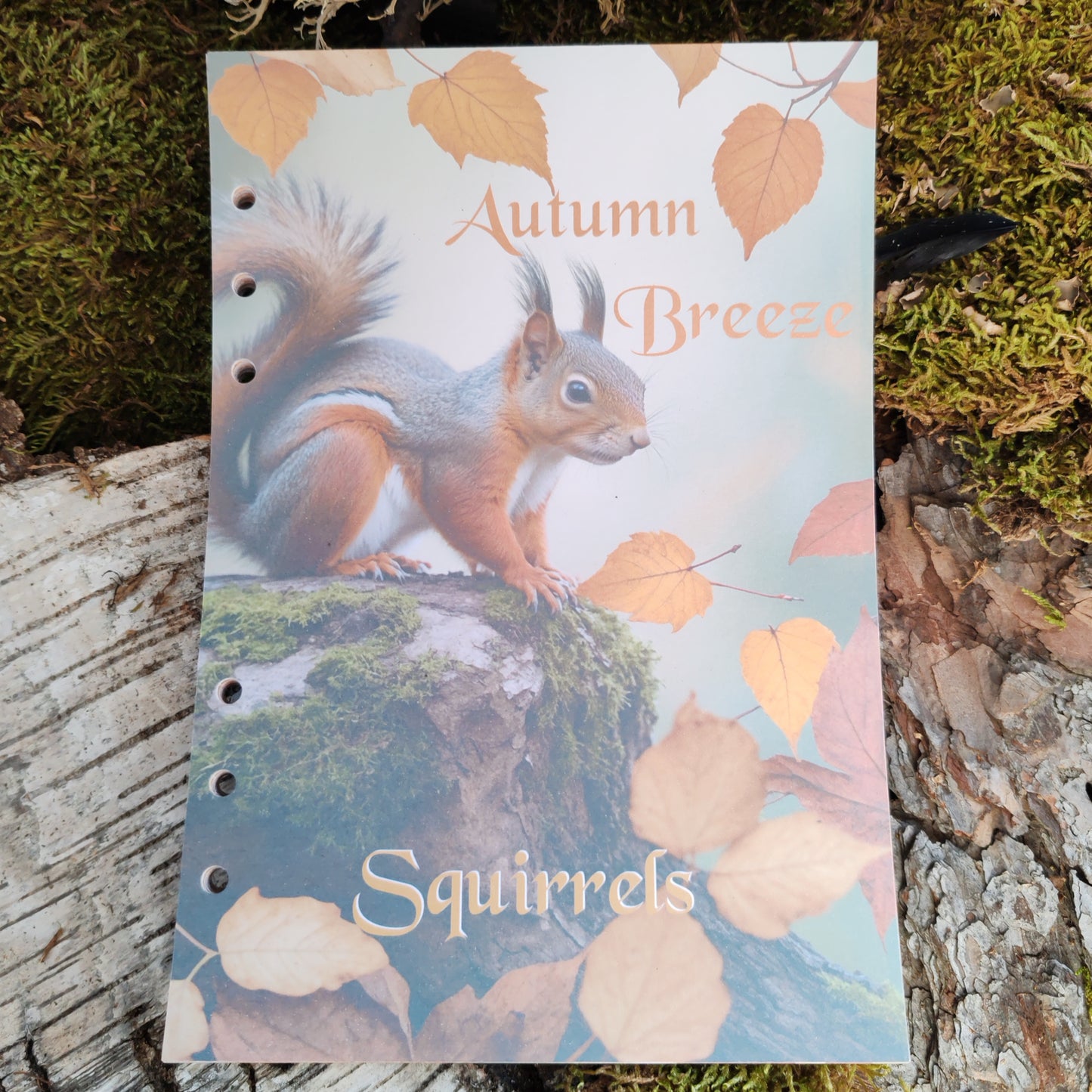 Autumn Breeze Ringbucheinlagen | Motiv-Inlays Eichhörnchen | 50 Seiten | DIN A5/A6