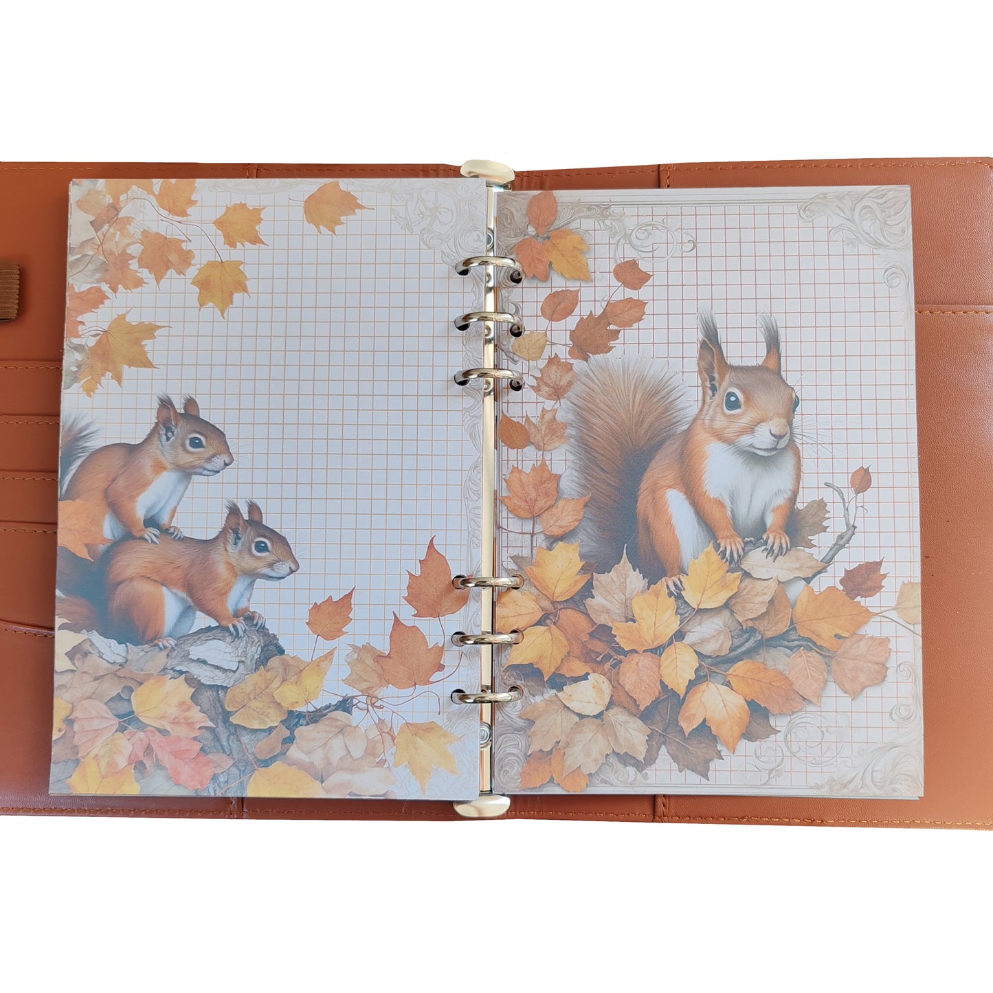 Autumn Breeze Ringbucheinlagen | Motiv-Inlays Eichhörnchen | 50 Seiten | DIN A5/A6