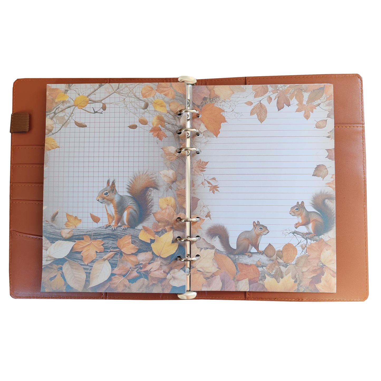 Autumn Breeze Ringbucheinlagen | Motiv-Inlays Eichhörnchen | 50 Seiten | DIN A5/A6