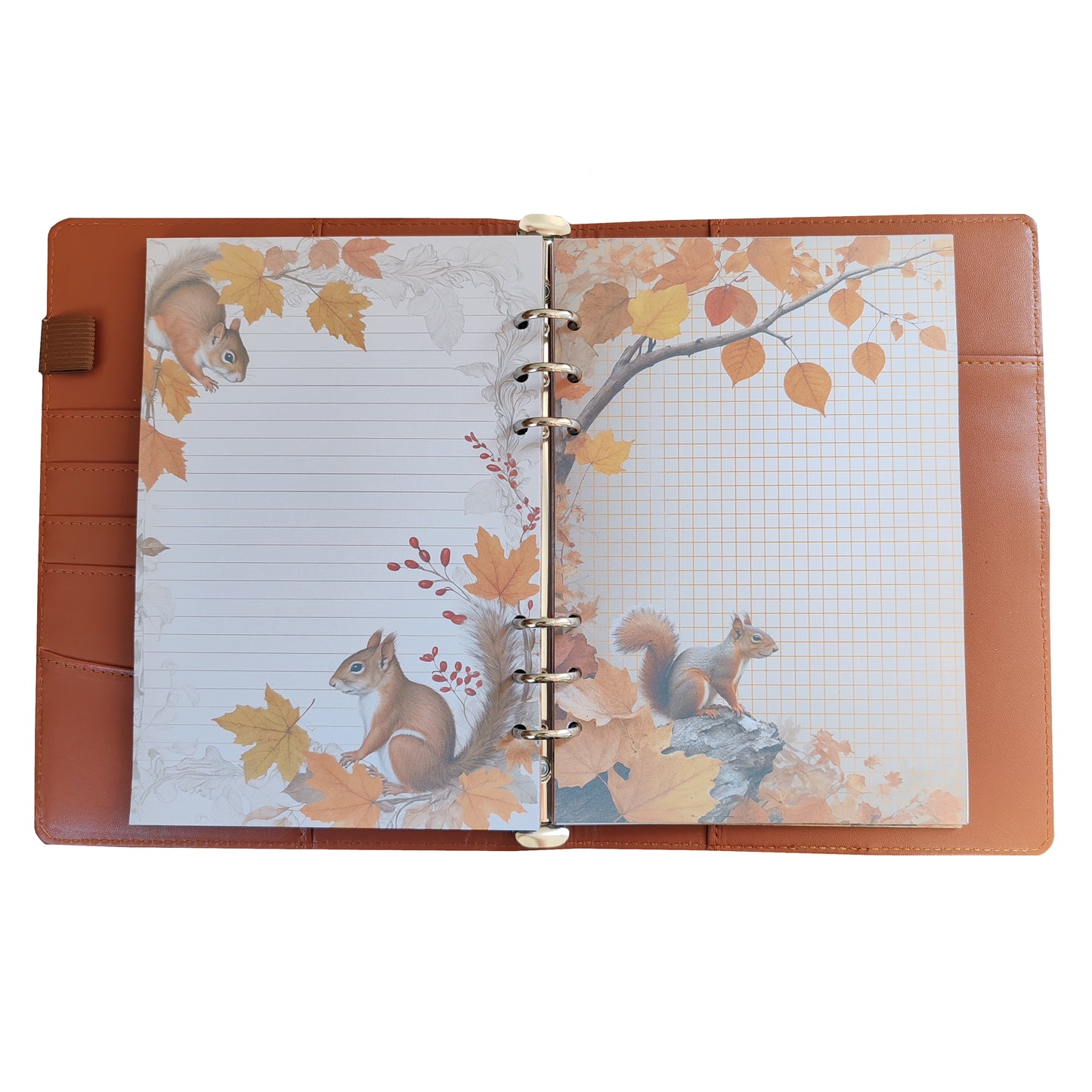 Autumn Breeze Ringbucheinlagen | Motiv-Inlays Eichhörnchen | 50 Seiten | DIN A5/A6