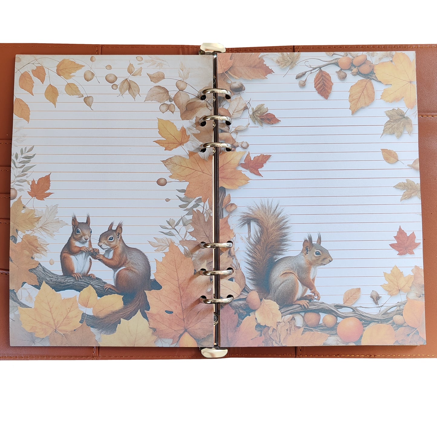 Autumn Breeze Ringbucheinlagen | Motiv-Inlays Eichhörnchen | 50 Seiten | DIN A5/A6