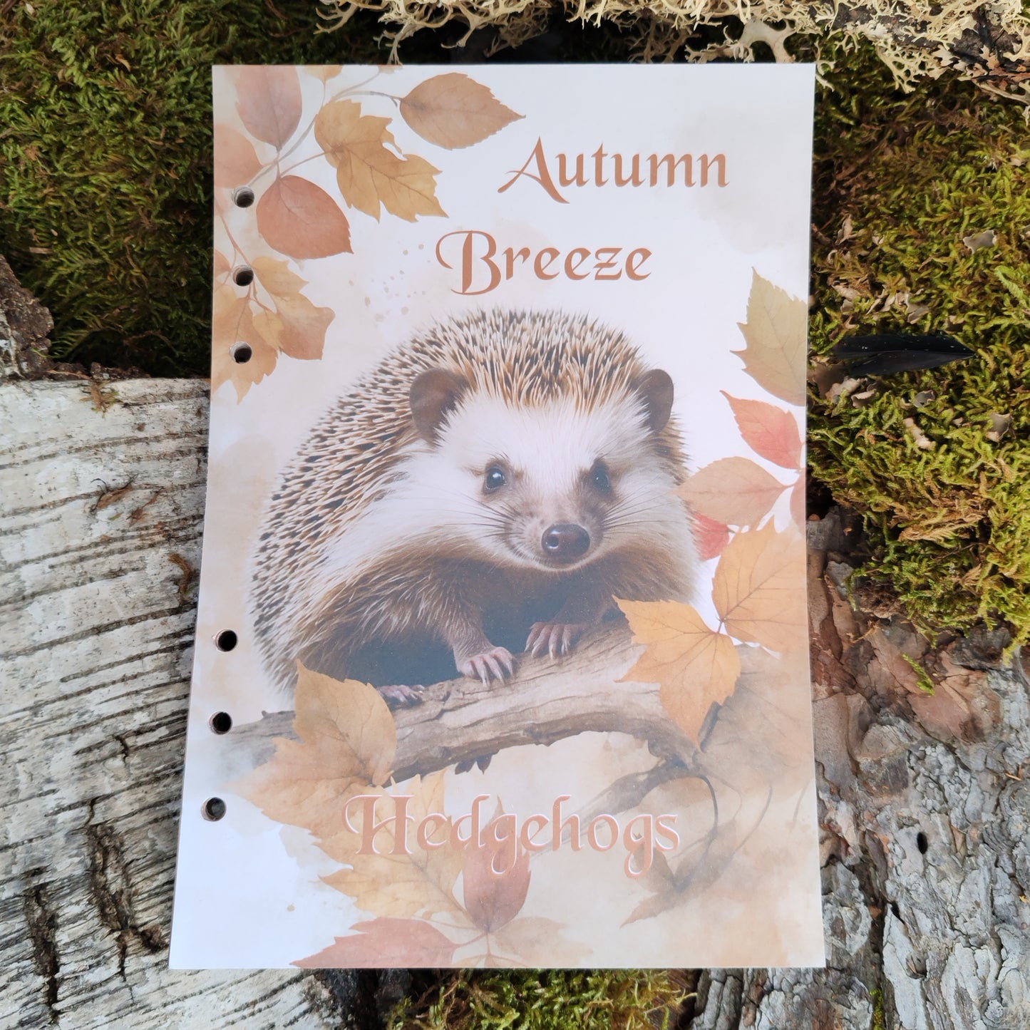 Autumn Breeze Ringbucheinlagen | Motiv-Inlays Igel | 50 Seiten | DIN A5/A6