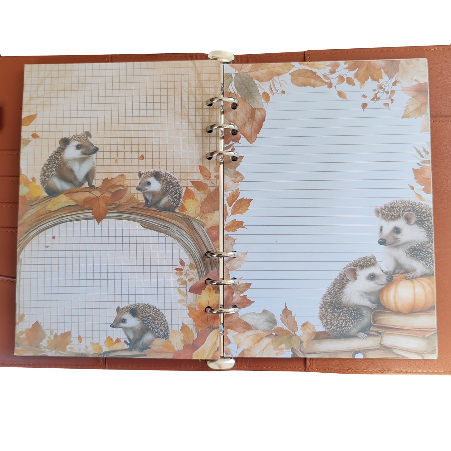 Autumn Breeze Ringbucheinlagen | Motiv-Inlays Igel | 50 Seiten | DIN A5/A6