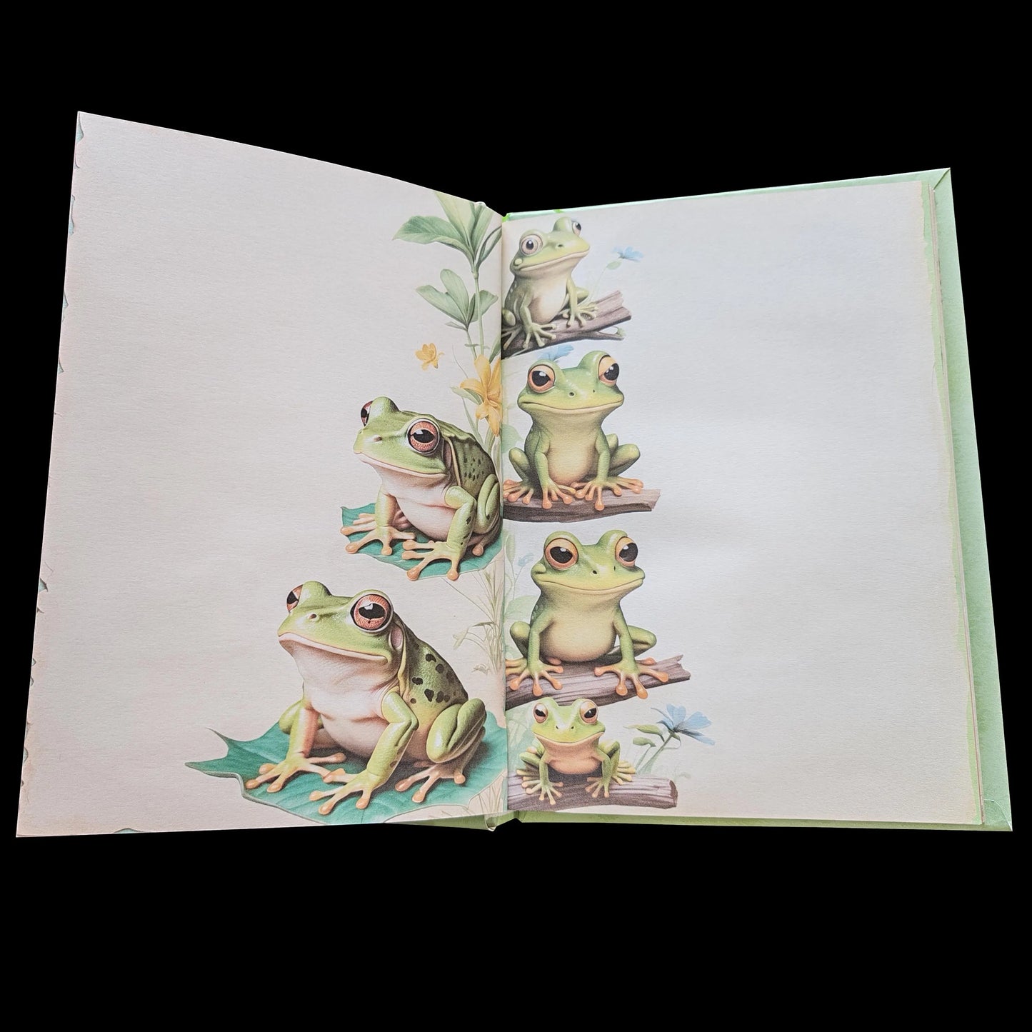 Illustriertes Notizbuch | Motiv Frog Life | DIN A5 Hardcover | 160 Seiten