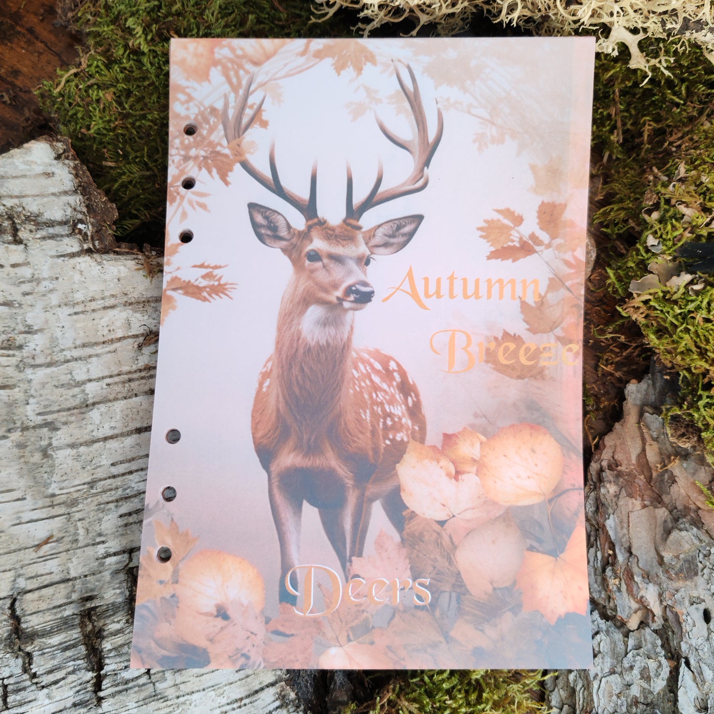 Autumn Breeze Ringbucheinlagen | Motiv-Inlays Reh | 50 Seiten | DIN A5/A6