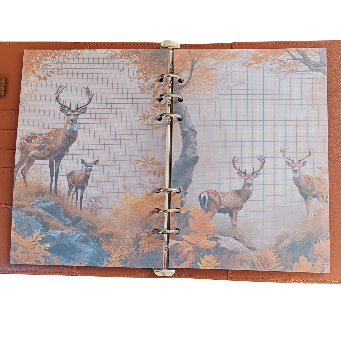 Autumn Breeze Ringbucheinlagen | Motiv-Inlays Reh | 50 Seiten | DIN A5/A6