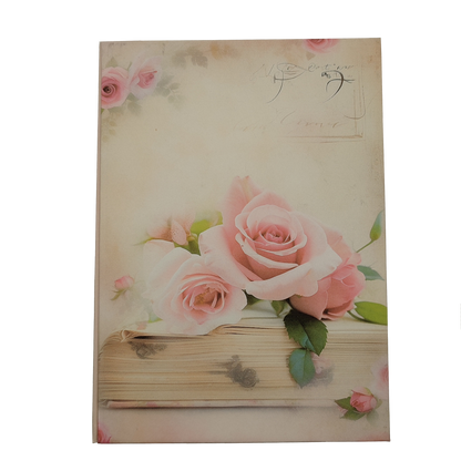 Illustriertes Notizbuch | Motiv Amor, amor | DIN A5 Hardcover | 160 Seiten