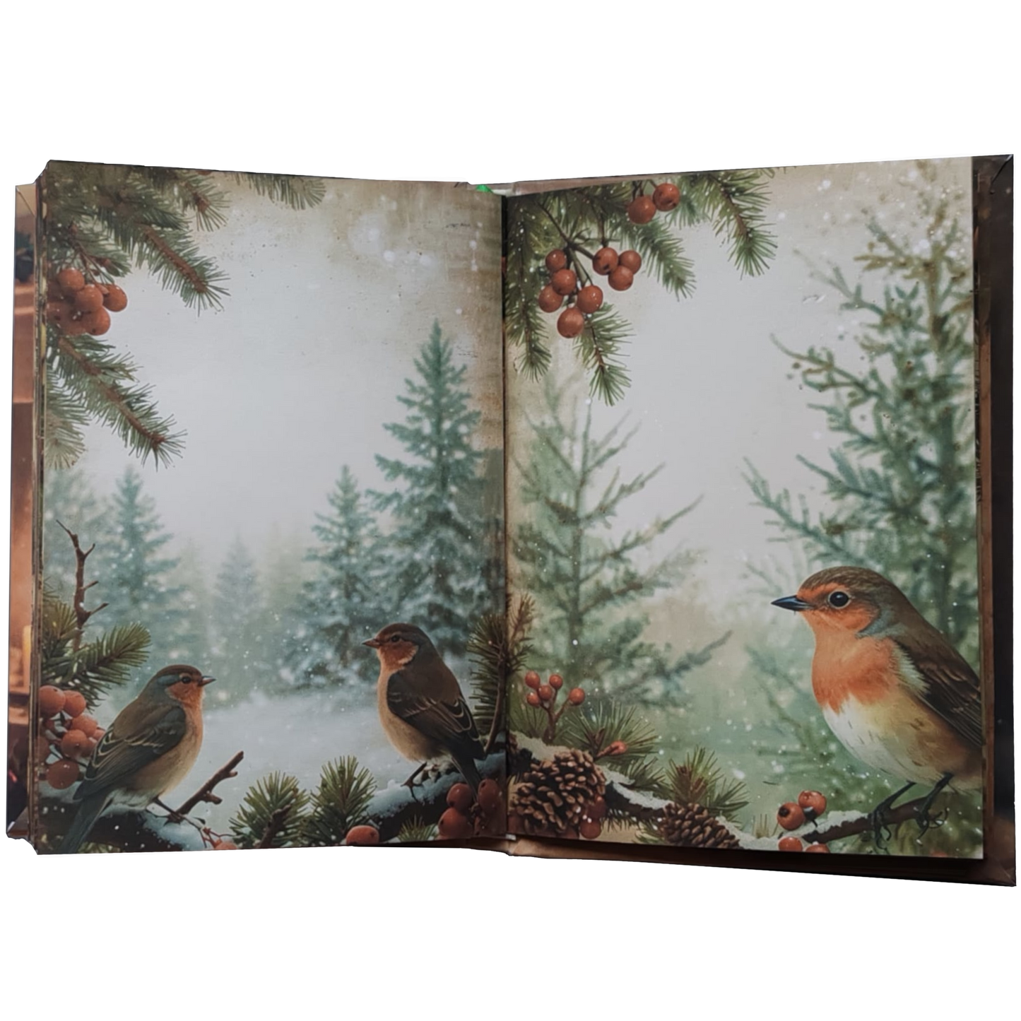 Illustriertes Notizbuch | Motiv Letters from December  | DIN A5 Hardcover | 160 Seiten