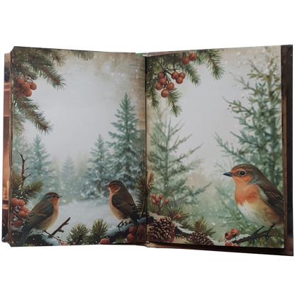 Illustriertes Notizbuch | Motiv Letters from December  | DIN A5 Hardcover | 160 Seiten