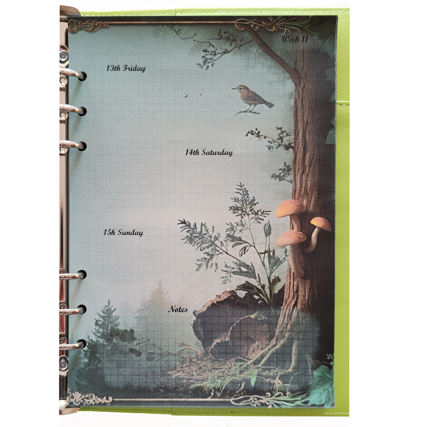 DIN A5 Ringbuchkalender 2026: Echoes of the Forest – Ein Kalender voller Waldzauber und natürlicher Ruhe