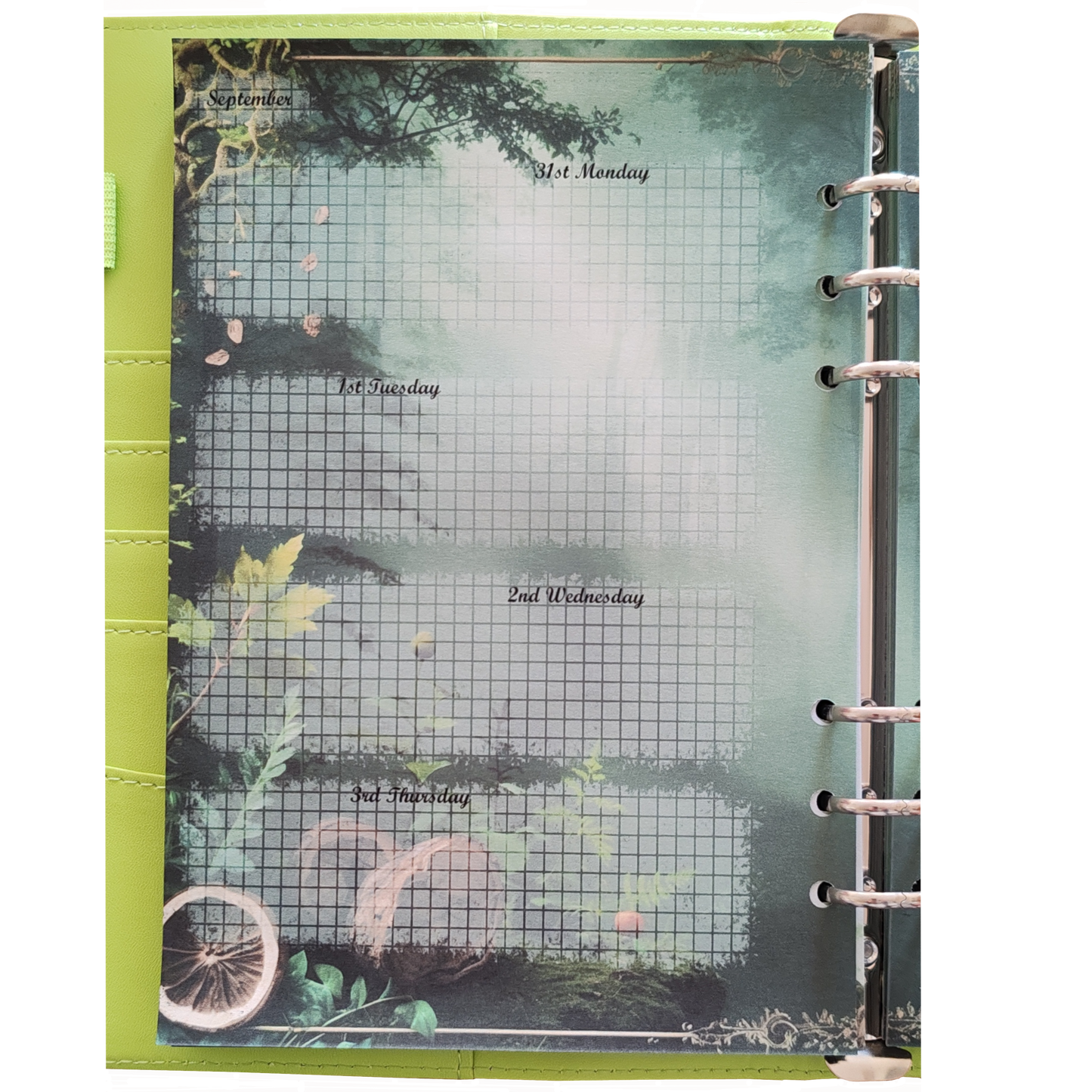 DIN A5 Ringbuchkalender 2026: Echoes of the Forest – Ein Kalender voller Waldzauber und natürlicher Ruhe