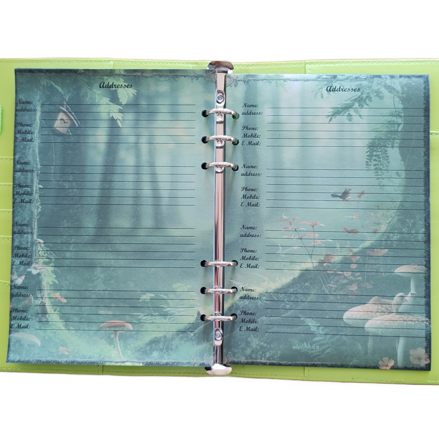 DIN A5 Ringbuchkalender 2026: Echoes of the Forest – Ein Kalender voller Waldzauber und natürlicher Ruhe